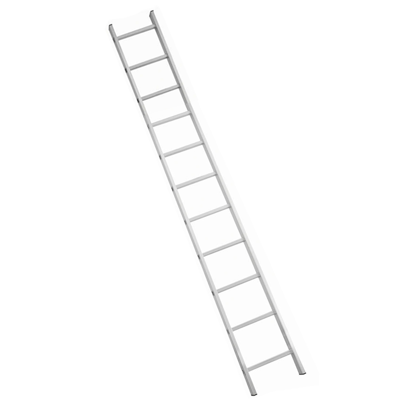 SINGLE LADDER 11 STEPS