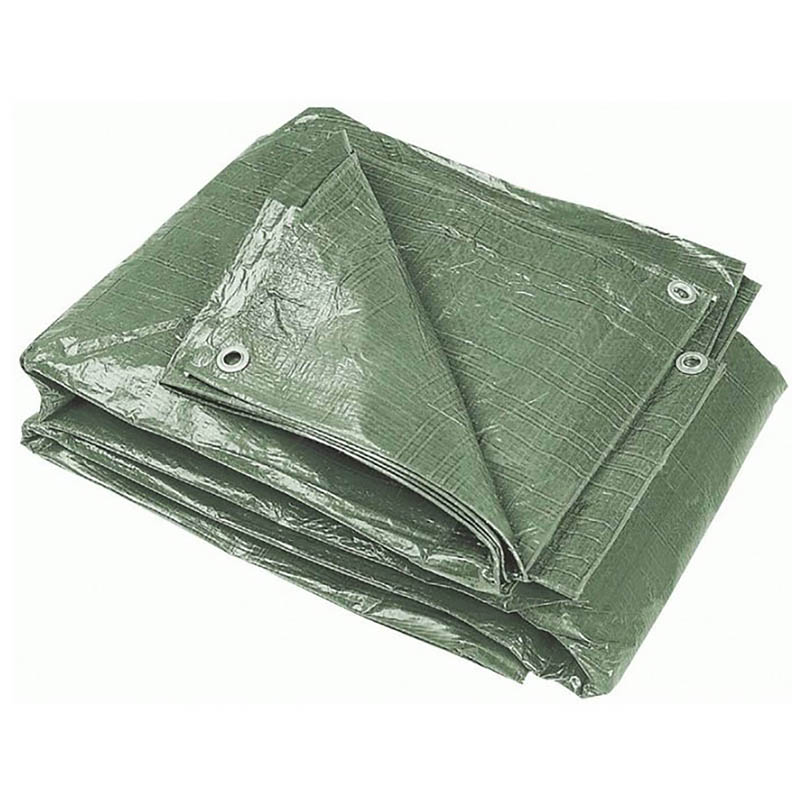 BORMANN BTR2060 Μουσαμάς 60gr 6x10m