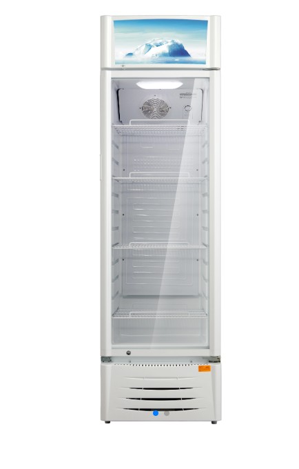 Arielli ψυγείο βιτρίνα ASC-316GW ASC-316GW