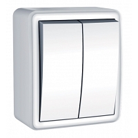 Διακόπτης Εξωτερικός Στεγανός Διπλός Κομμυτατέρ 10Α Λευκός OIKPRI11